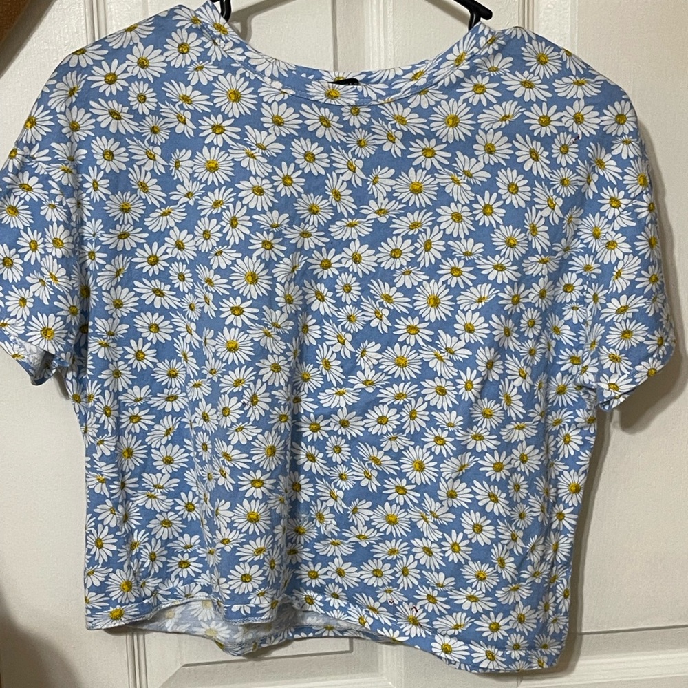 Small daisy blue Zara top